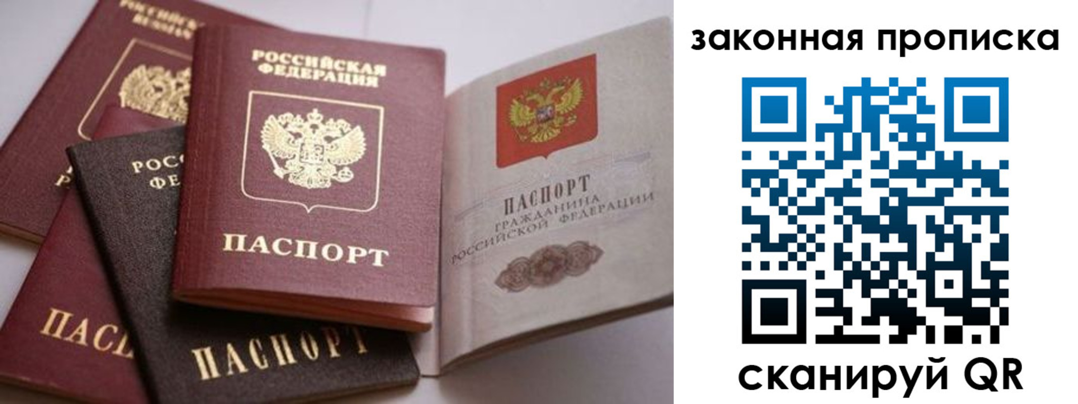 временная регистрация надежно в Опочке